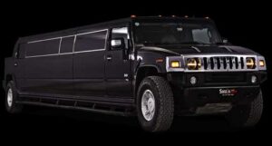 muskoka limousine