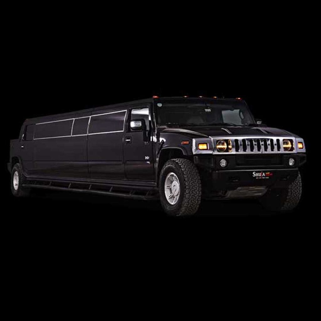 muskoka limousine 